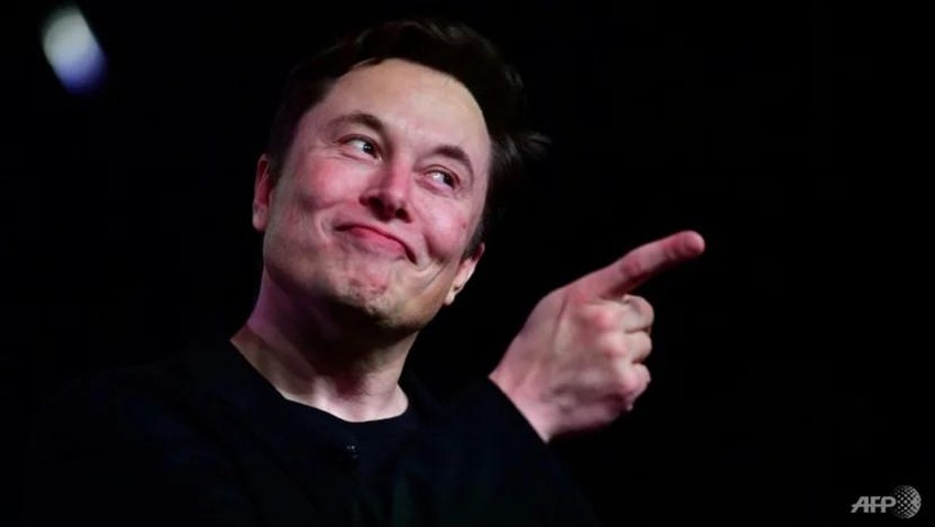 Tỉ phú Elon Musk kêu gọi cử tri Mỹ bỏ phiếu cho phe Cộng hòa ảnh 1