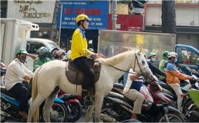 cuoi ngua tren duong pho