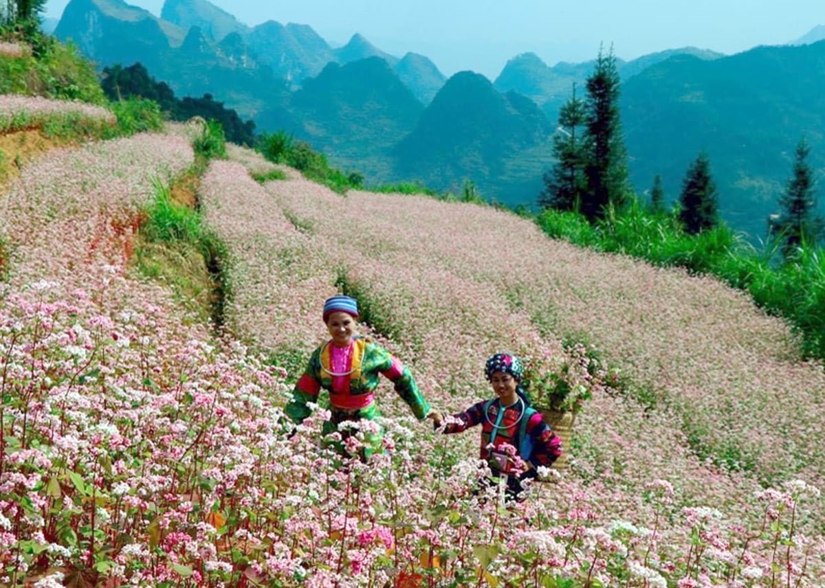 Festival khèn Mông