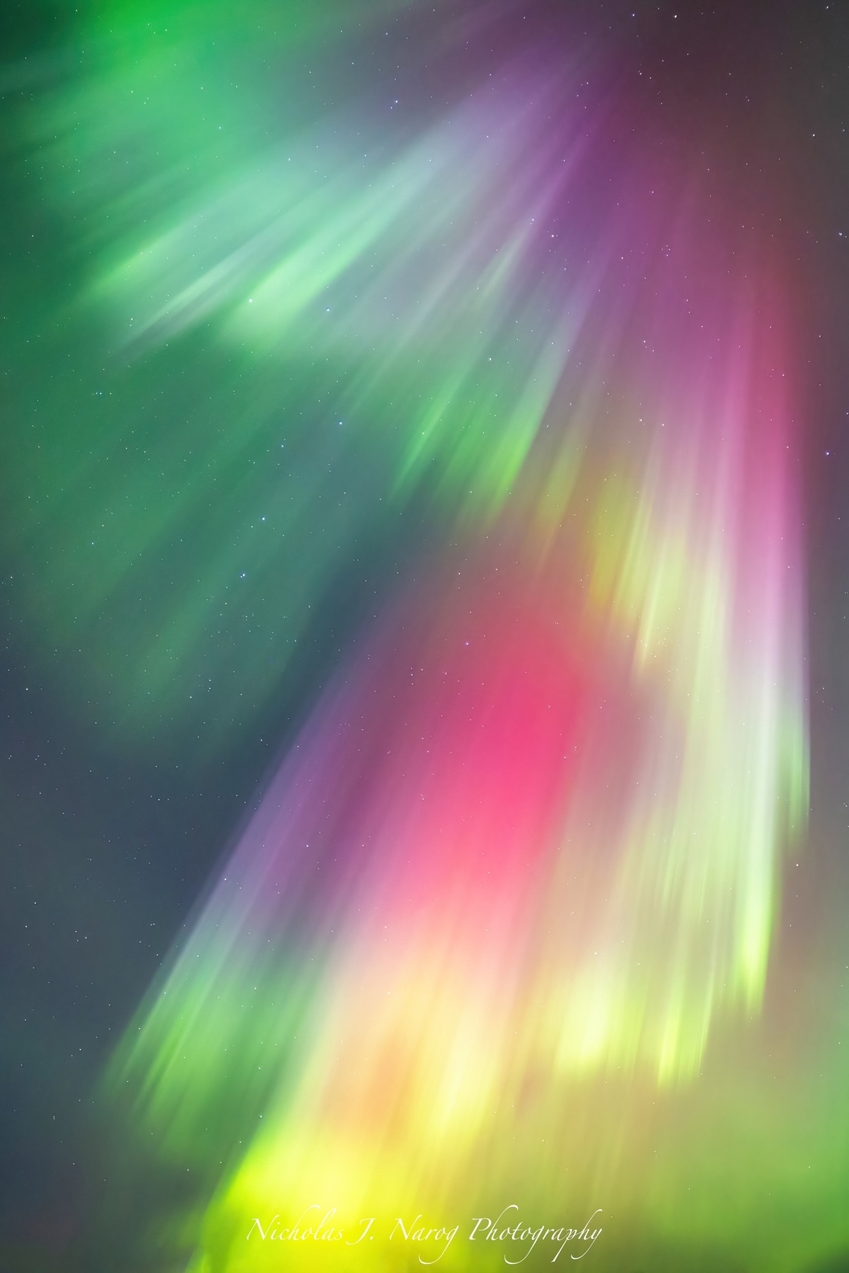 Pink and green auroras in the skies over northern Minnesota.