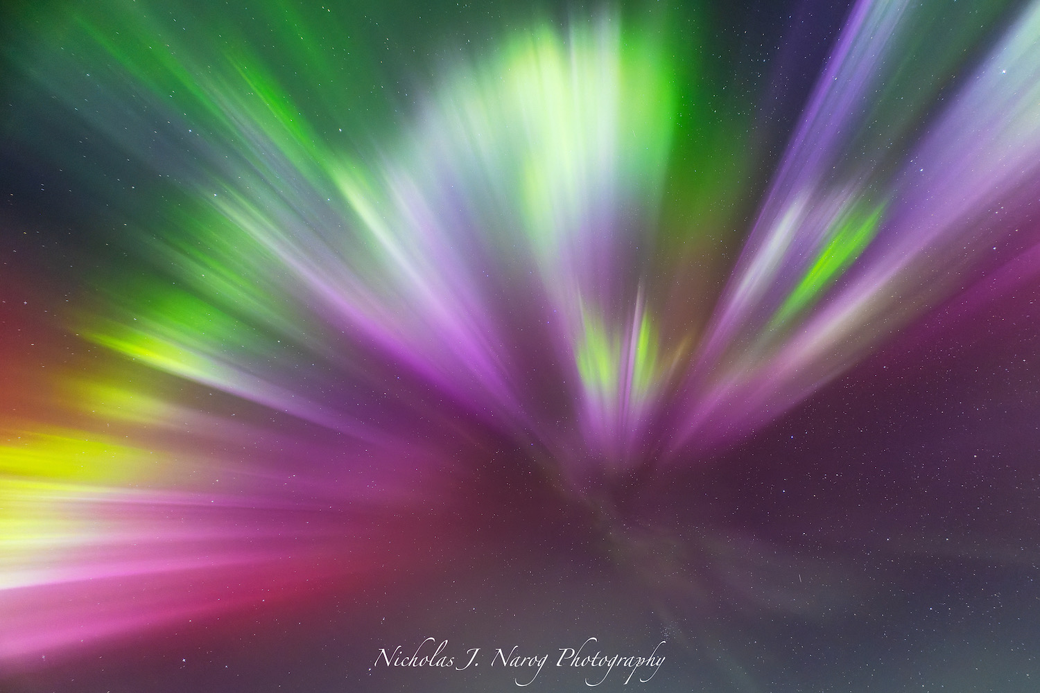 Auroras over the woods photographed by Narog.