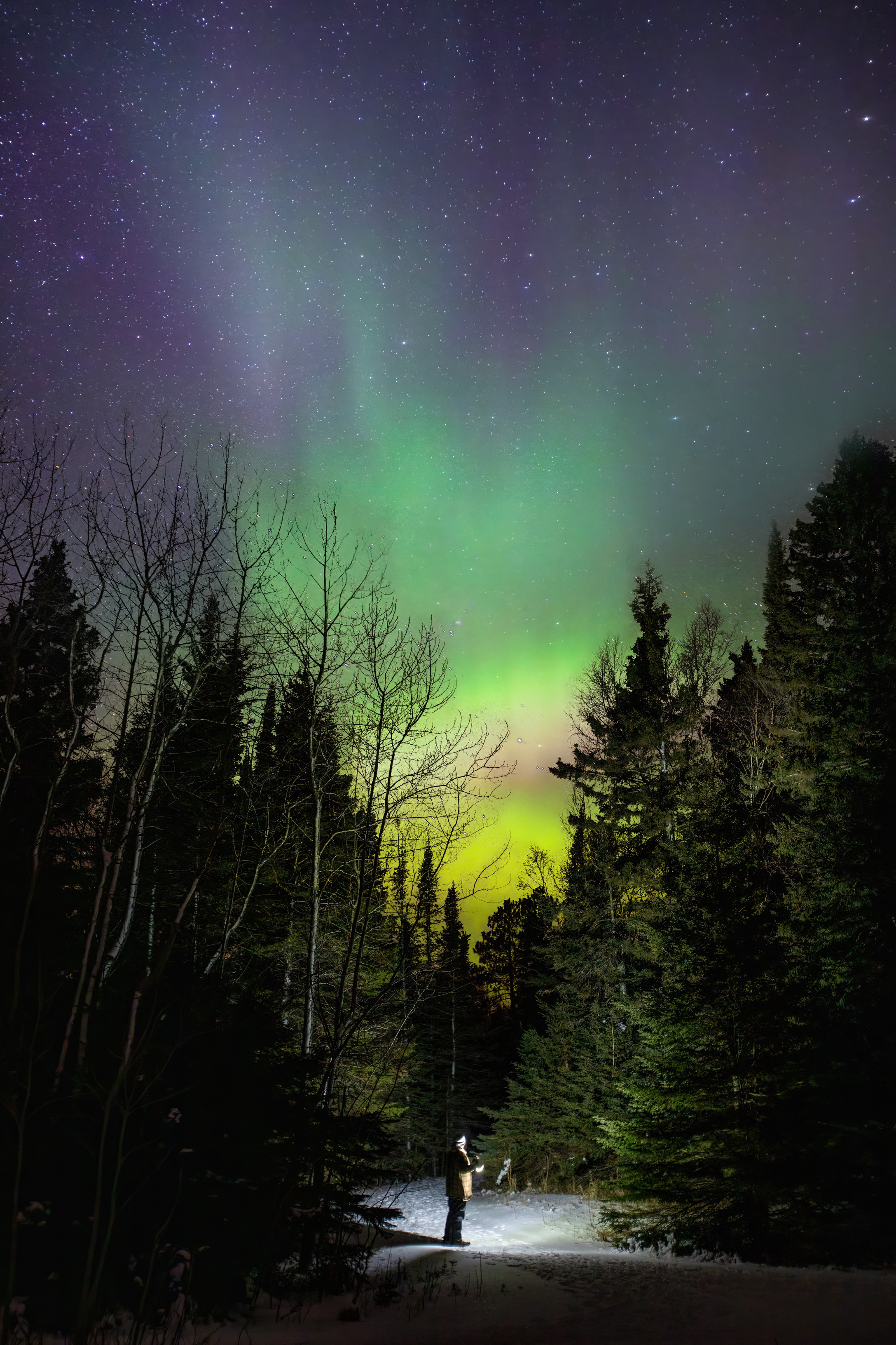 Pink and green auroras photographed by Nicholas Narog.