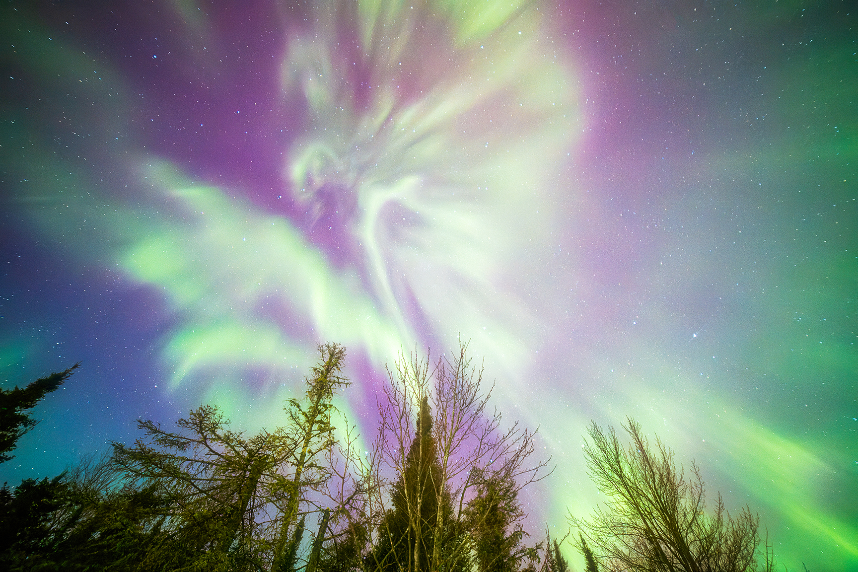 Northern lights in the skies above Minnesota.