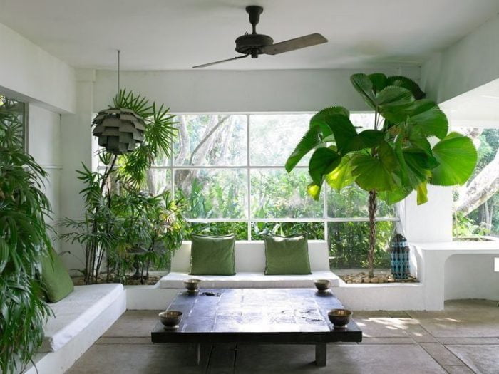Mẹo vặt mùa hè: Phương pháp làm mát tự nhiên không cần điều hòa