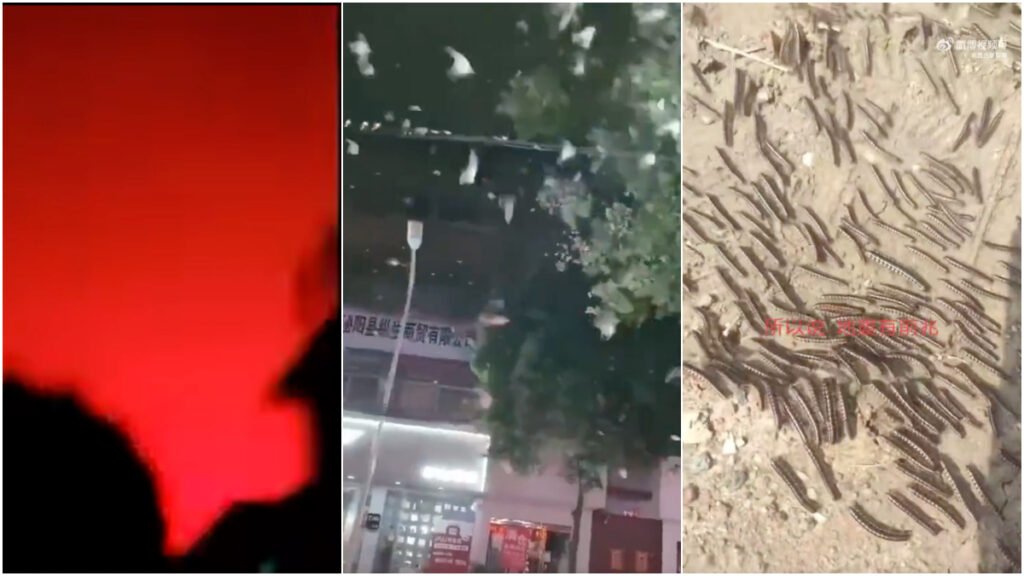 Dị tượng xảy ra trước và sau động đất ở Sơn Đông, Trung Quốc báo hiệu điều gì?