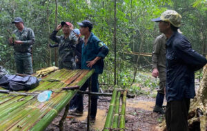 Tìm già làng mất tích khi đi hái măng| Tân Thế Kỷ