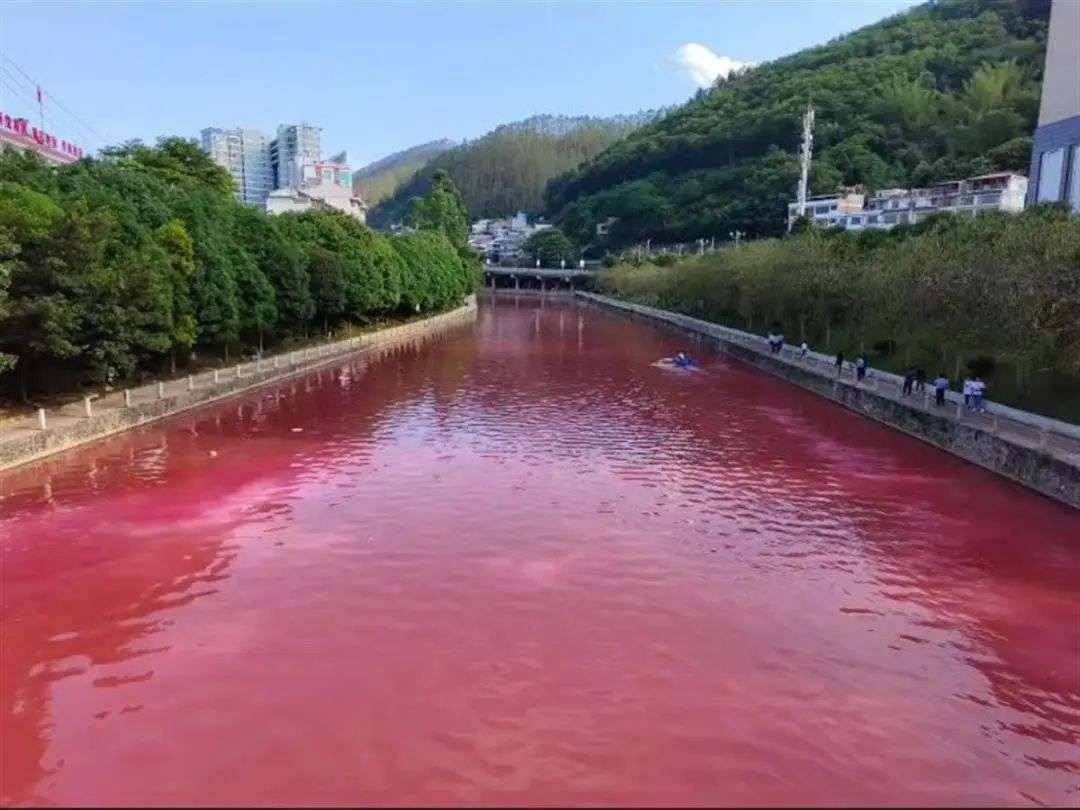 Nước sông ở Thượng Hải bất ngờ chuyển sang màu đỏ | TTK NEWS