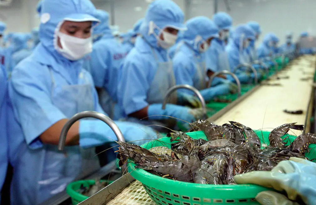 Nhật Bản chuyển trung tâm chế biến hải sản từ Trung Quốc sang Việt Nam