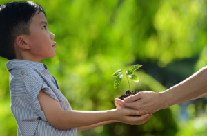 Làm thế nào để dạy trẻ trung thực?