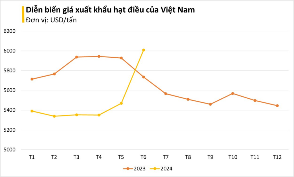 loai hat viet nam dung dau the gioi ve xuat khau duoc my chot don nua ty usd 1