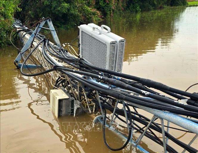 mua lon kem loc tai ca mau va ben tre 2