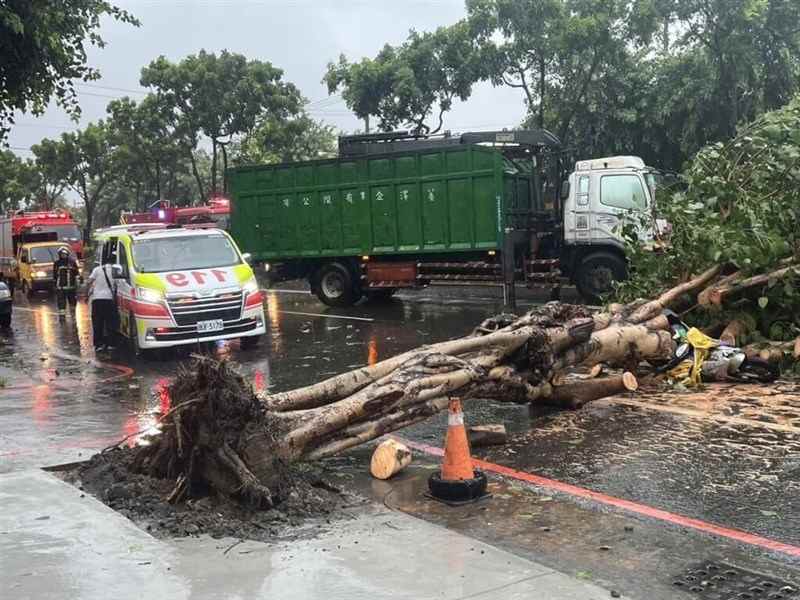 sieu bao gaemi giat 250 km h gay thiet hai khong tuong 2