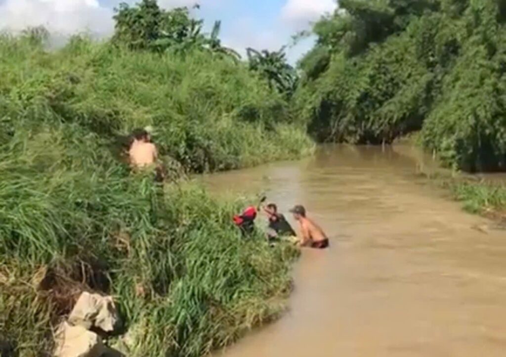 vuon thang long ngap toi ngon do mua lon tai binh thuan 6