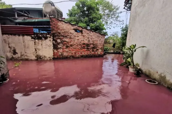 xac minh vu nuoc mau do tran vao khu dan cu o ha noi 1