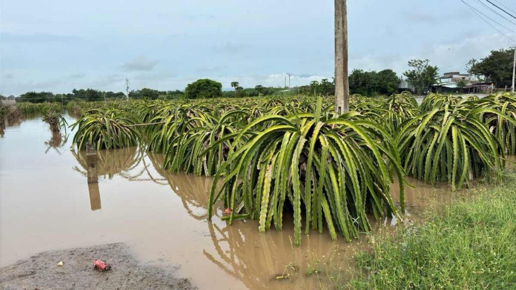 binh thuan mua lon ngap lut dien rong di doi nhieu ho dan 2 ho tang luu luong xa lu 1