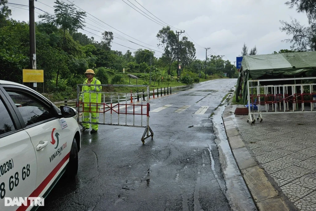 da nang cam len ban dao son tra