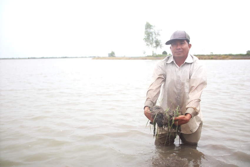 long an hon 700 ha cay trong bi mat trang do mua lu va trieu cuong 2