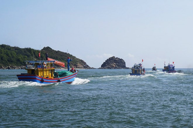 tau ca binh dinh bi dam chim anh minh hoa