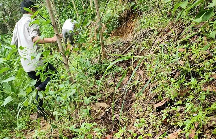 cong bo tinh trang khan cap do sat lo tai quang ngai va quang binh 1