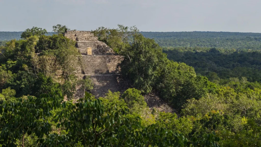 phat hien thanh pho co maya trong rung ram mexico 1