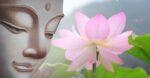 Chuyện cổ Phật gia: Người gây khó dễ cho ta là người đang giúp ta thành tựu