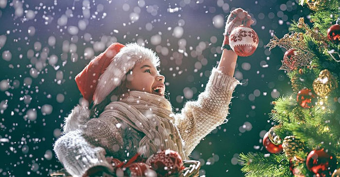 Nguồn gốc của cây Giáng sinh – cây thông Noel