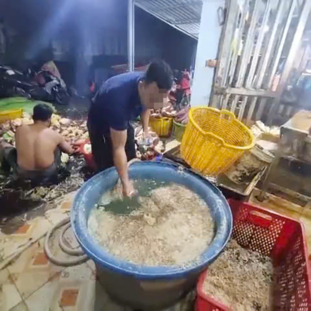 TP.HCM: Phát hiện 3 cơ sở ngâm hoa chuối với hàn the, chất tẩy trắng