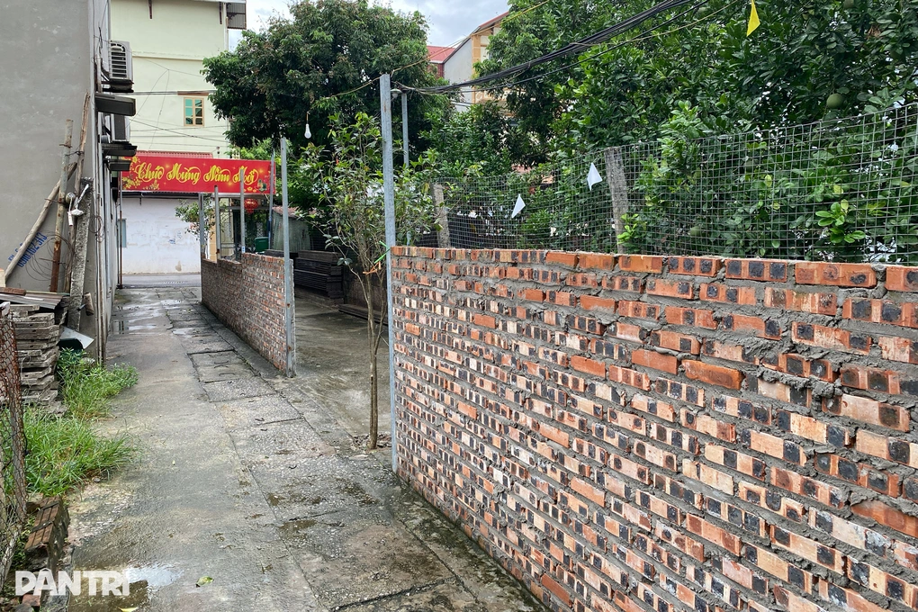 Hà Nội: Không tháo dỡ công trình vi phạm, hộ dân trồng thêm cây chắn ngõ