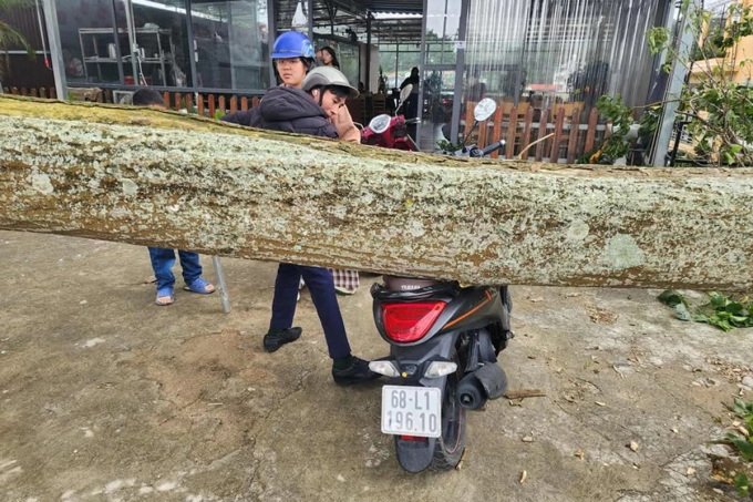Cây đổ đè xe máy ở Đà Lạt