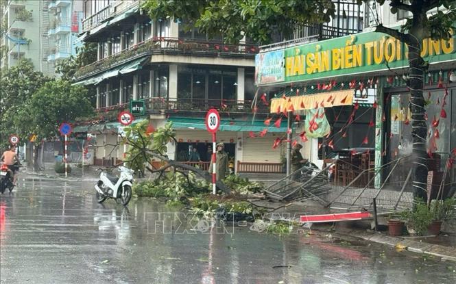 Bão số 5 gây mưa lớn, ngập lụt tại Thanh Hóa, Thủy điện Cẩm Thủy 1 xả lũ khẩn cấp