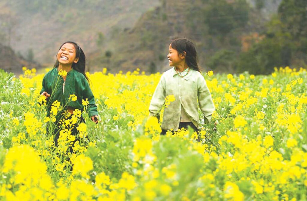 “Gió đưa cây cải về Trời…” – Câu ca dao mang thông điệp tỉnh thức