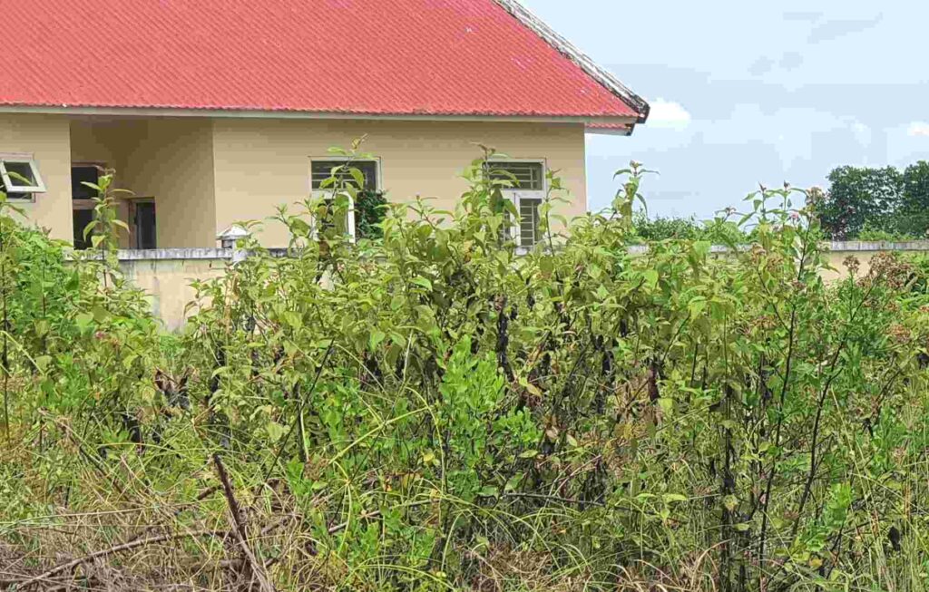 Khai giảng hơn nửa tháng, hai ngôi trường tại Cà Mau không một bóng học sinh