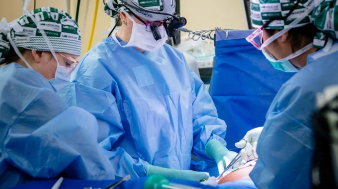 Mỹ cho phép thử nghiệm ghép thận lợn trên người quy mô rộng