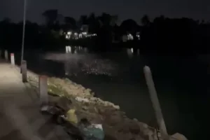 Đàn cá tự nhiên nổi kín mặt sông Truồi ở Huế, người dân nghi hiện tượng lạ