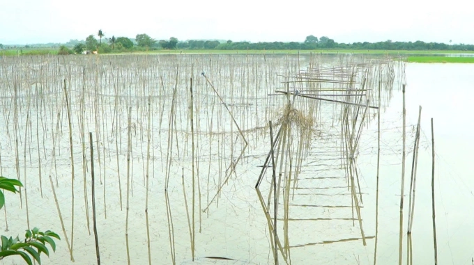 Đồng Nai đề nghị Lâm Đồng cung cấp thông tin thủy điện xả lũ