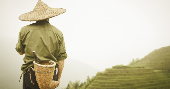 Bài học đức hạnh: Người nông dân bình thường được Thần xếp vị trí cao hơn viên quan triều đình