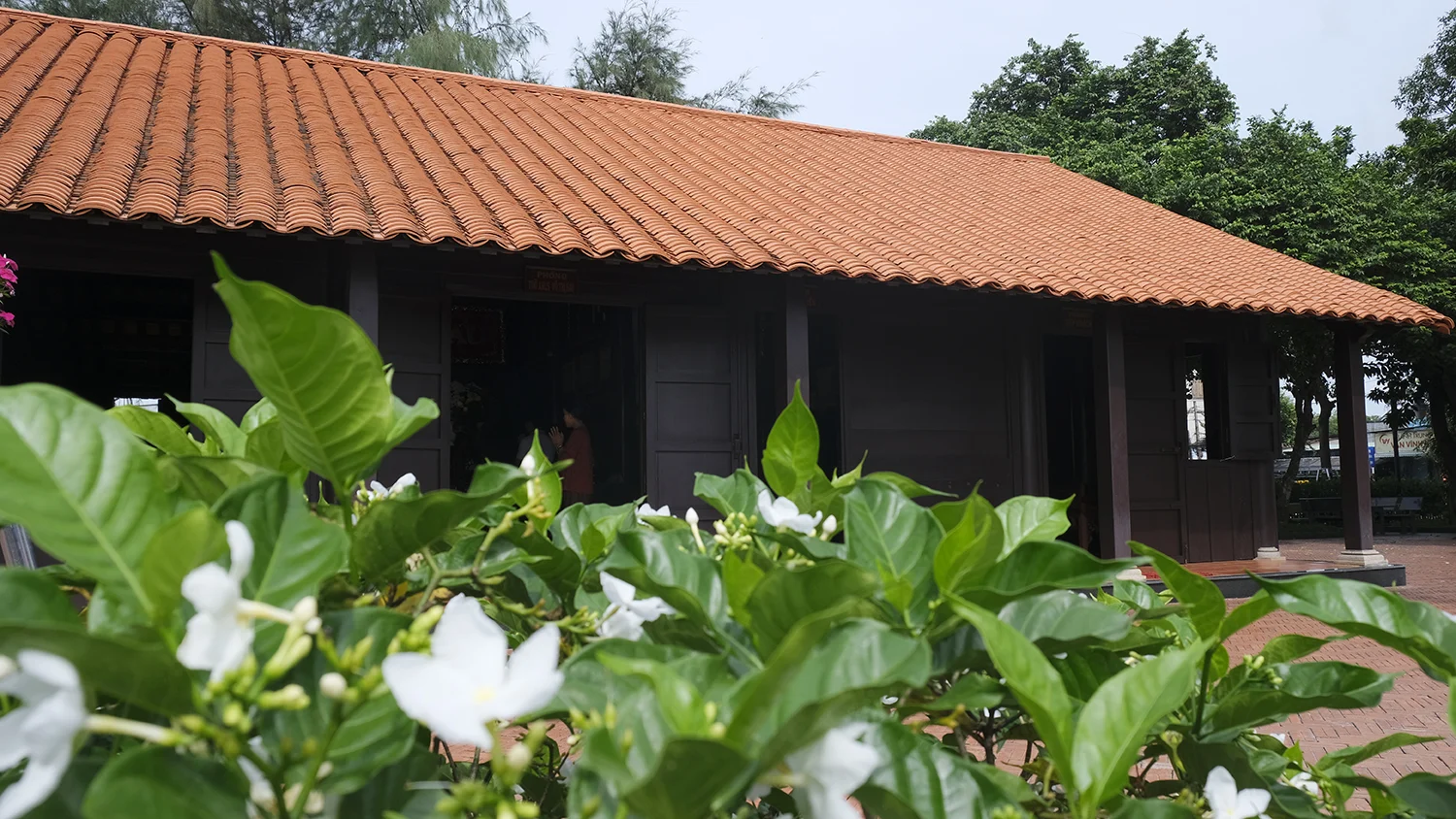 Tết lại đưa tôi về quê xưa, dẫu nhà cũ không còn nữa